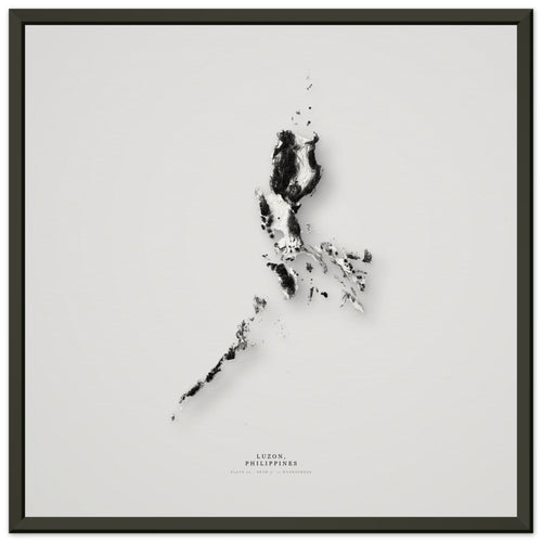 Luzon elevation relief print in a black frame