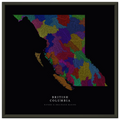 British Columbia watershed map print, rivers coloured by drainage basin, in a black metal frame