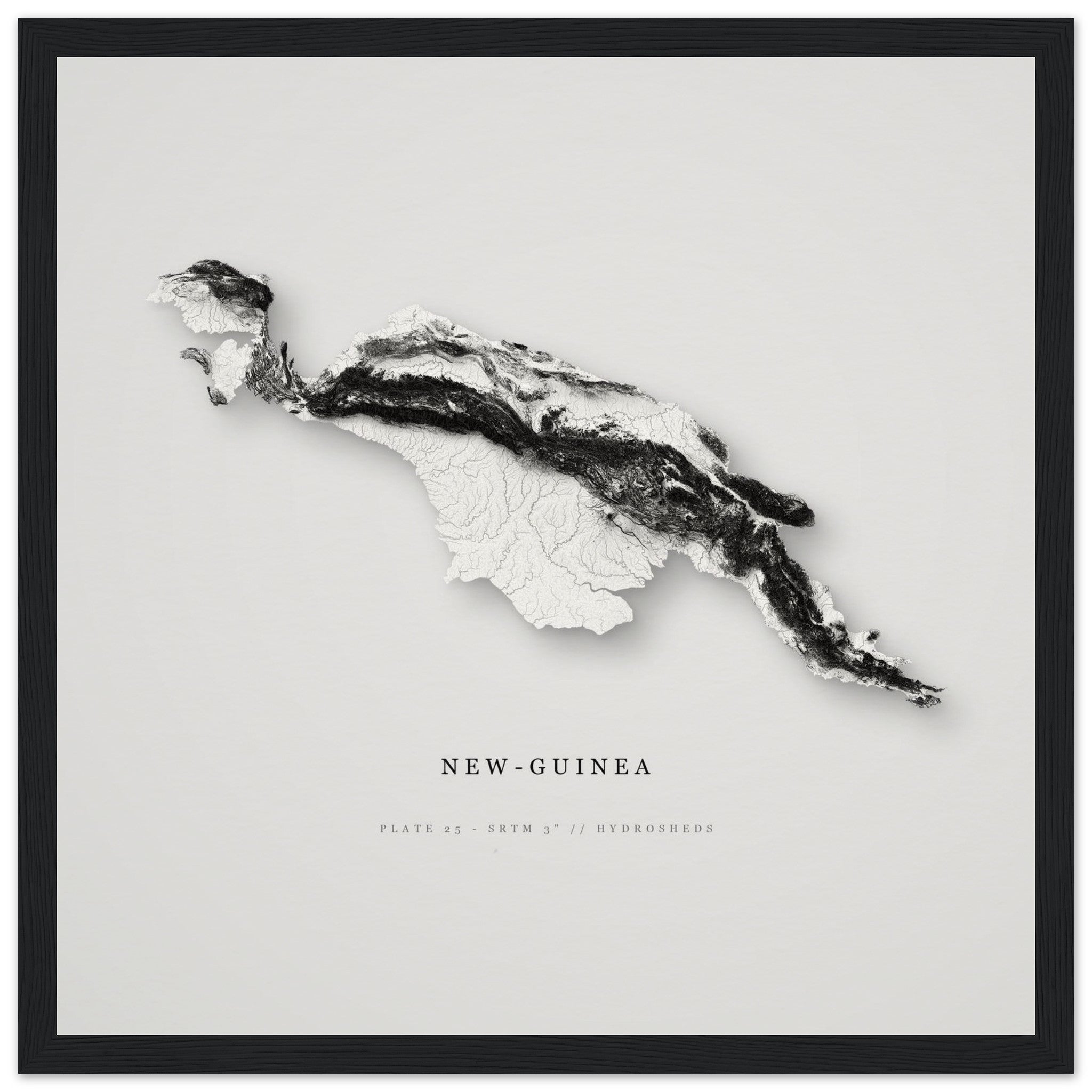New Guinea elevation relief — museum-quality matte in an oak wooden frame